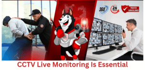 Live CCTV Monitoring is essential