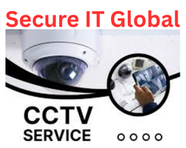 Trusted Video Surveillance System Specialists