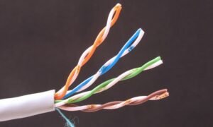 Networking Cables for Small Businesses in 2026